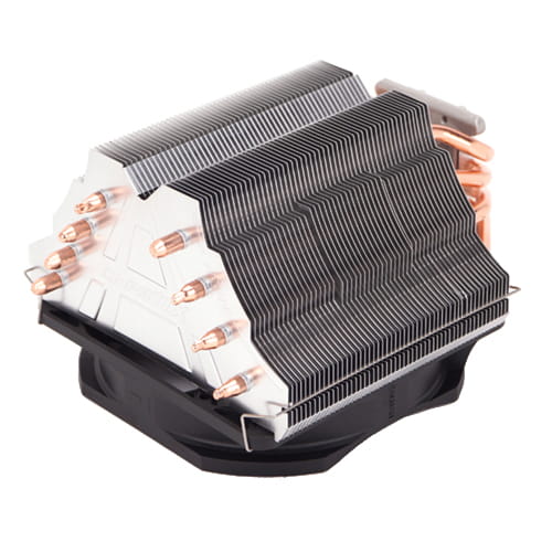 MICOZA11X-PERPL_00004.jpg