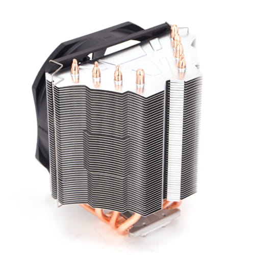 MICOZA11X-PERPL_00006.jpg