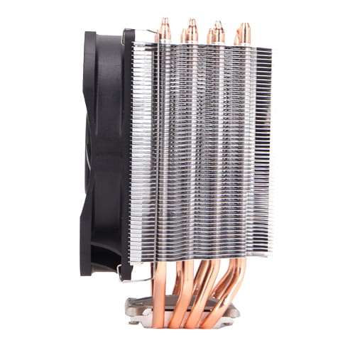 MICOZA11X-PERPL_00007.jpg