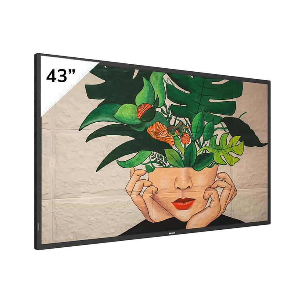 Philips 43BDL4650D/00 43 4K UHD