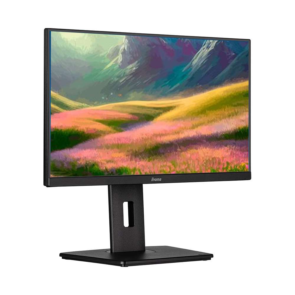 iiyama ProLite XUB2292HSU-B6 21.5 FHD