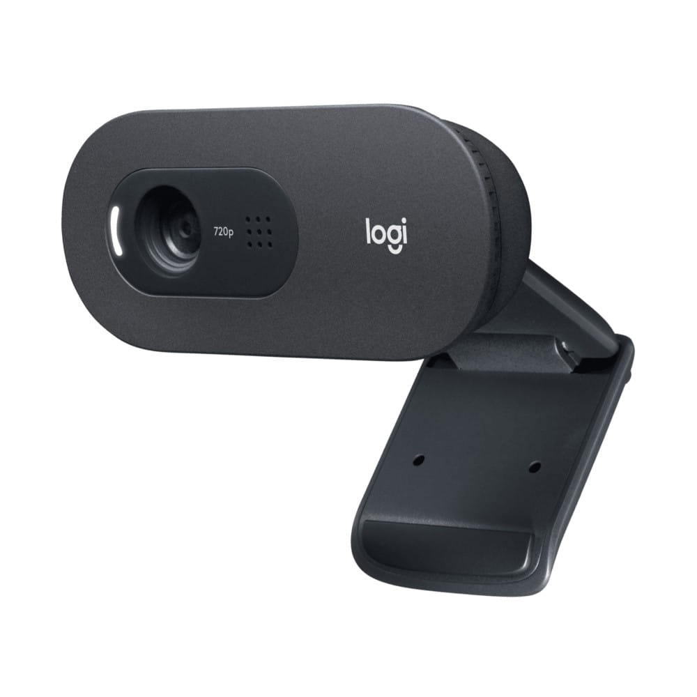 Logitech C505E HD