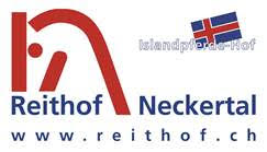 Sponsor logo