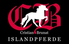 Sponsor logo