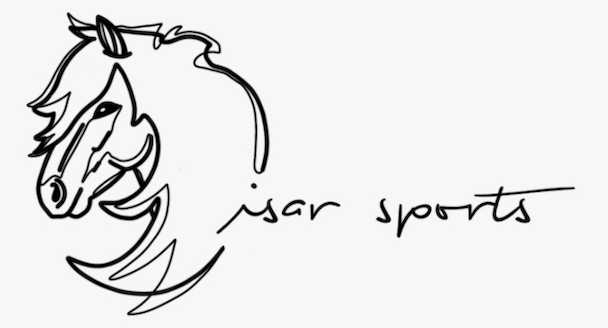 Sponsor logo