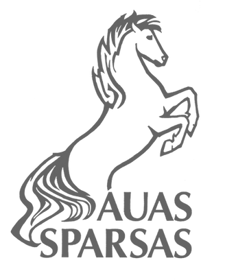 Sponsor logo