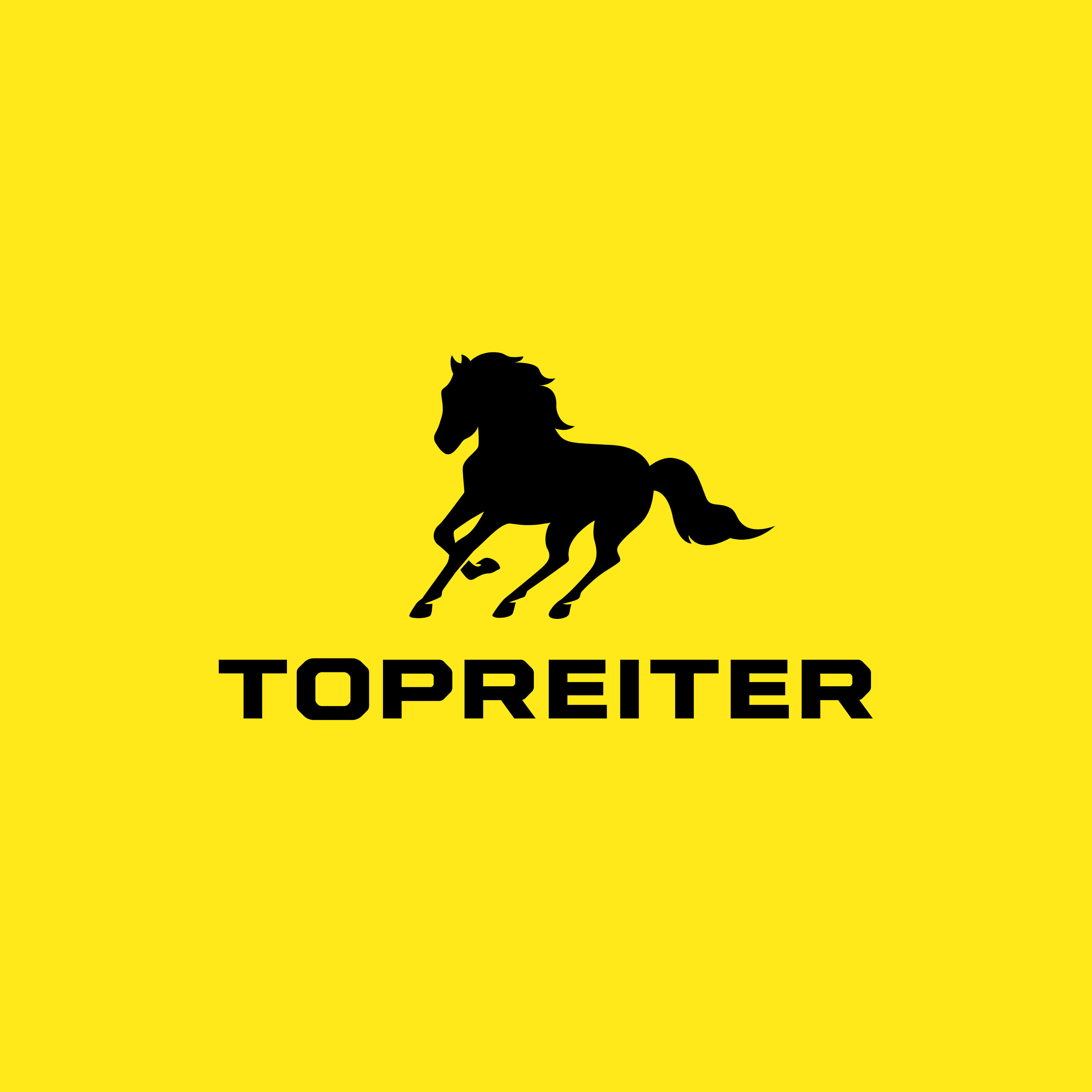 Sponsor logo