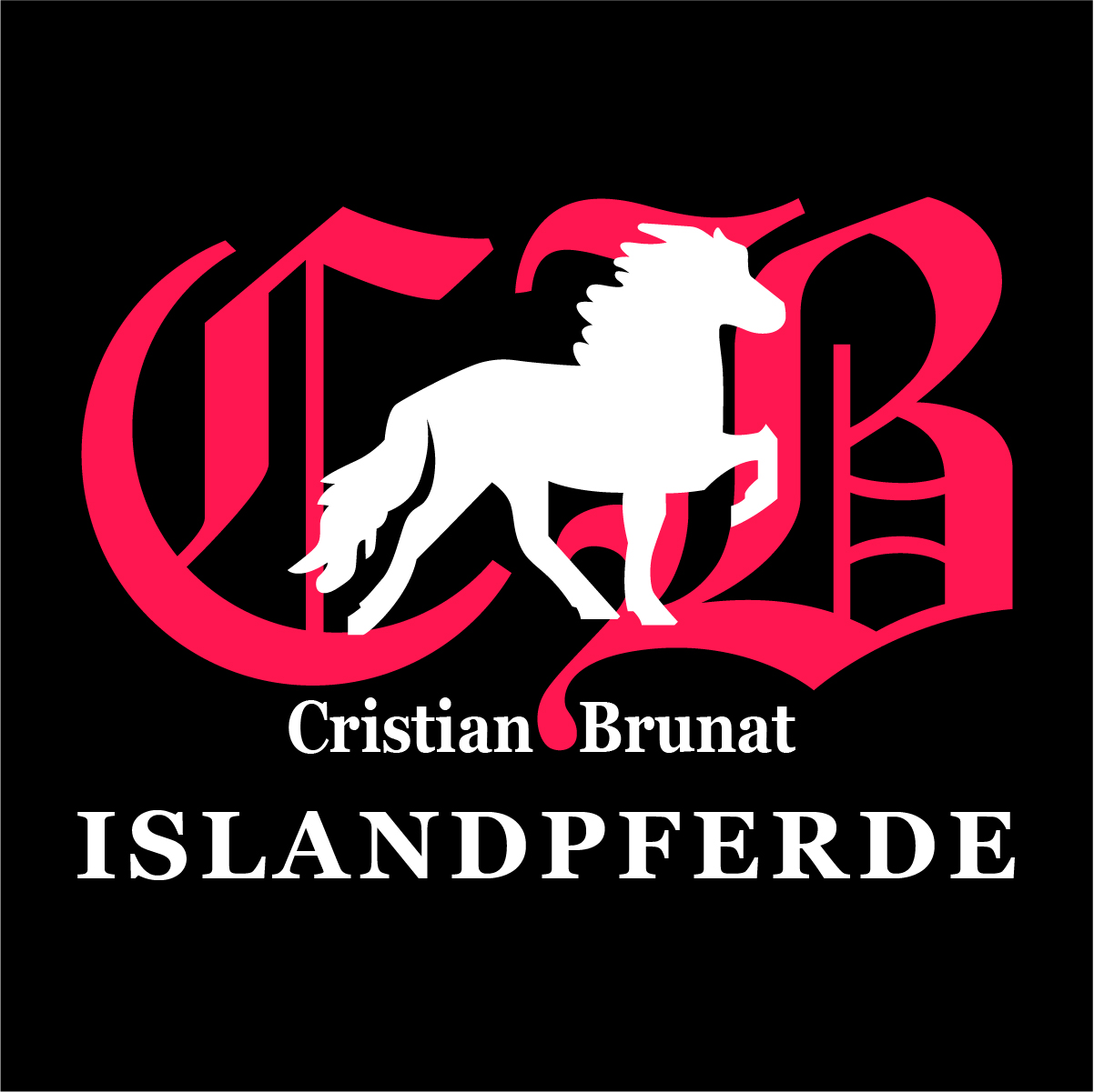 Sponsor logo