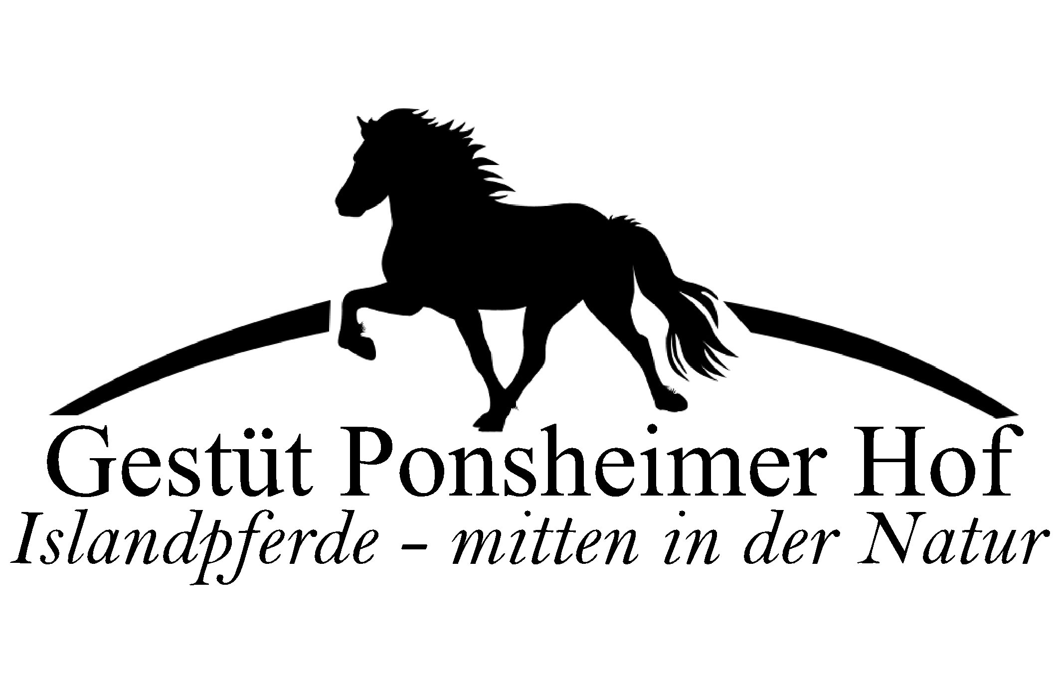 Sponsor logo