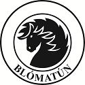 Sponsor logo