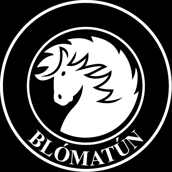 Sponsor logo