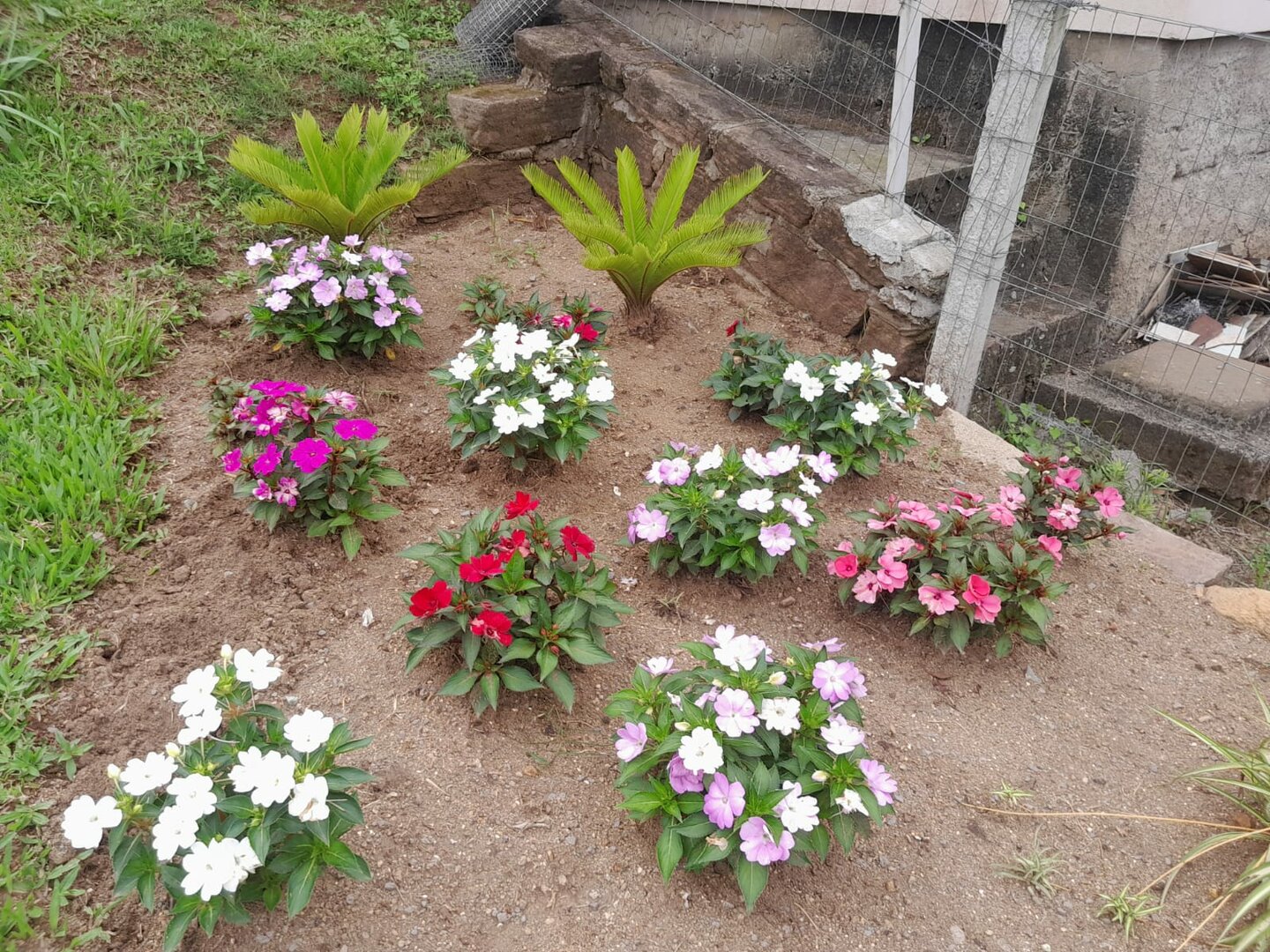 img20