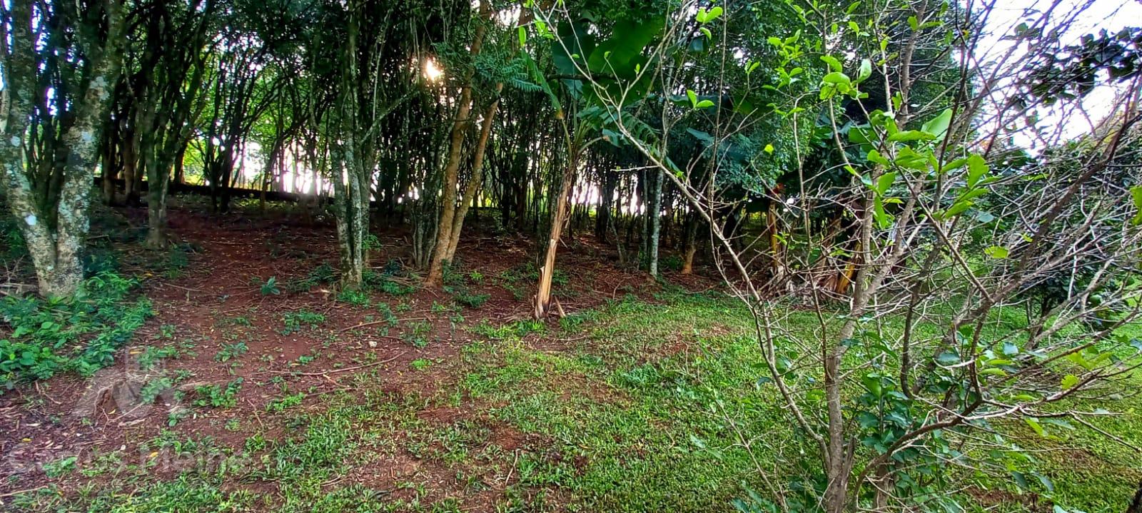 574_3324.jpg