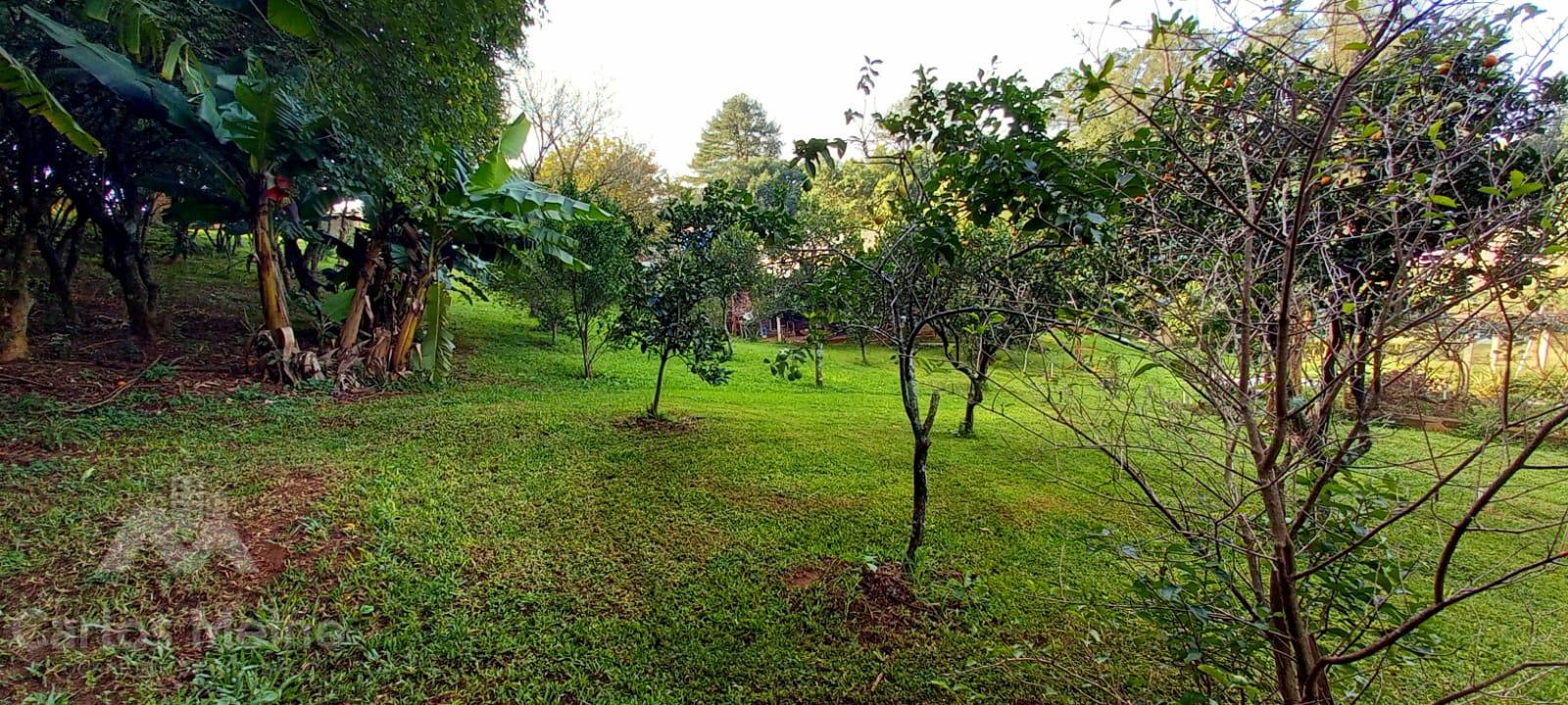 574_3325.jpg