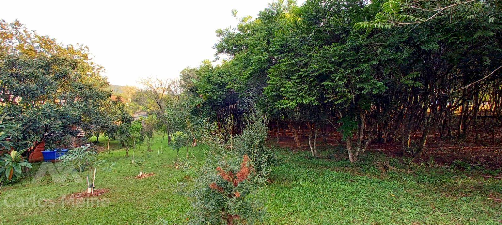 574_3326.jpg