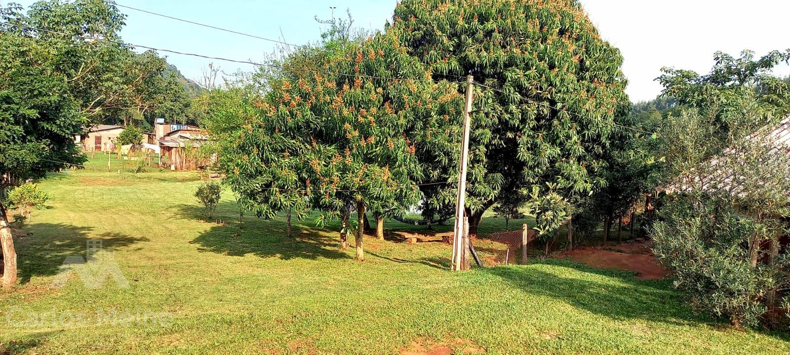 574_3330.jpg