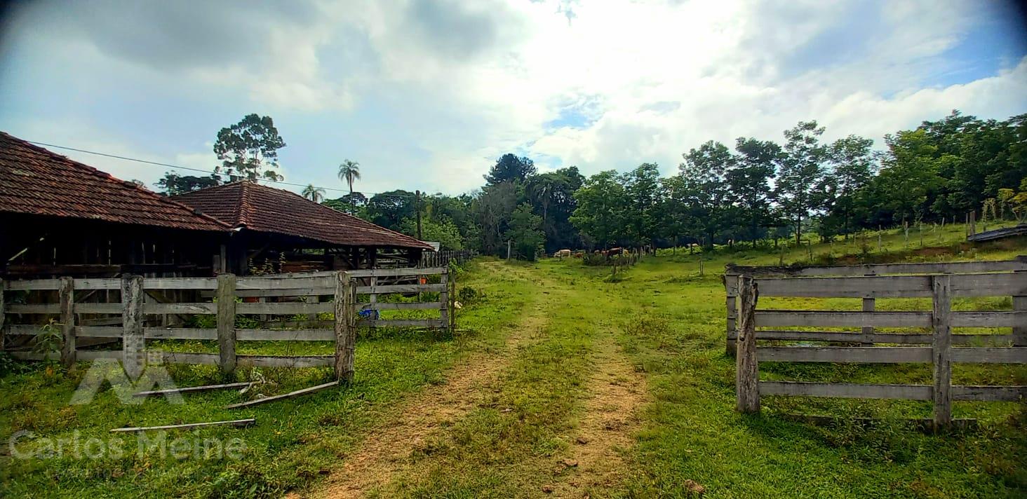 575_3335.jpg