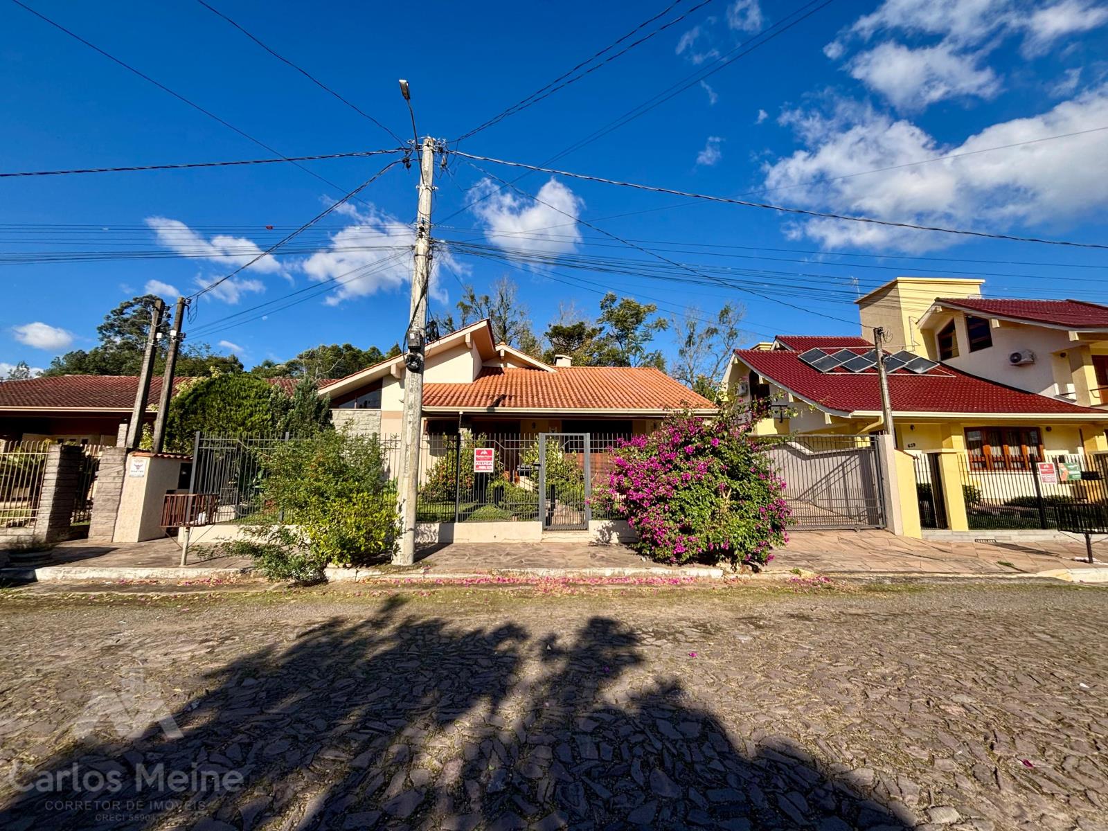 291_9645.jpg