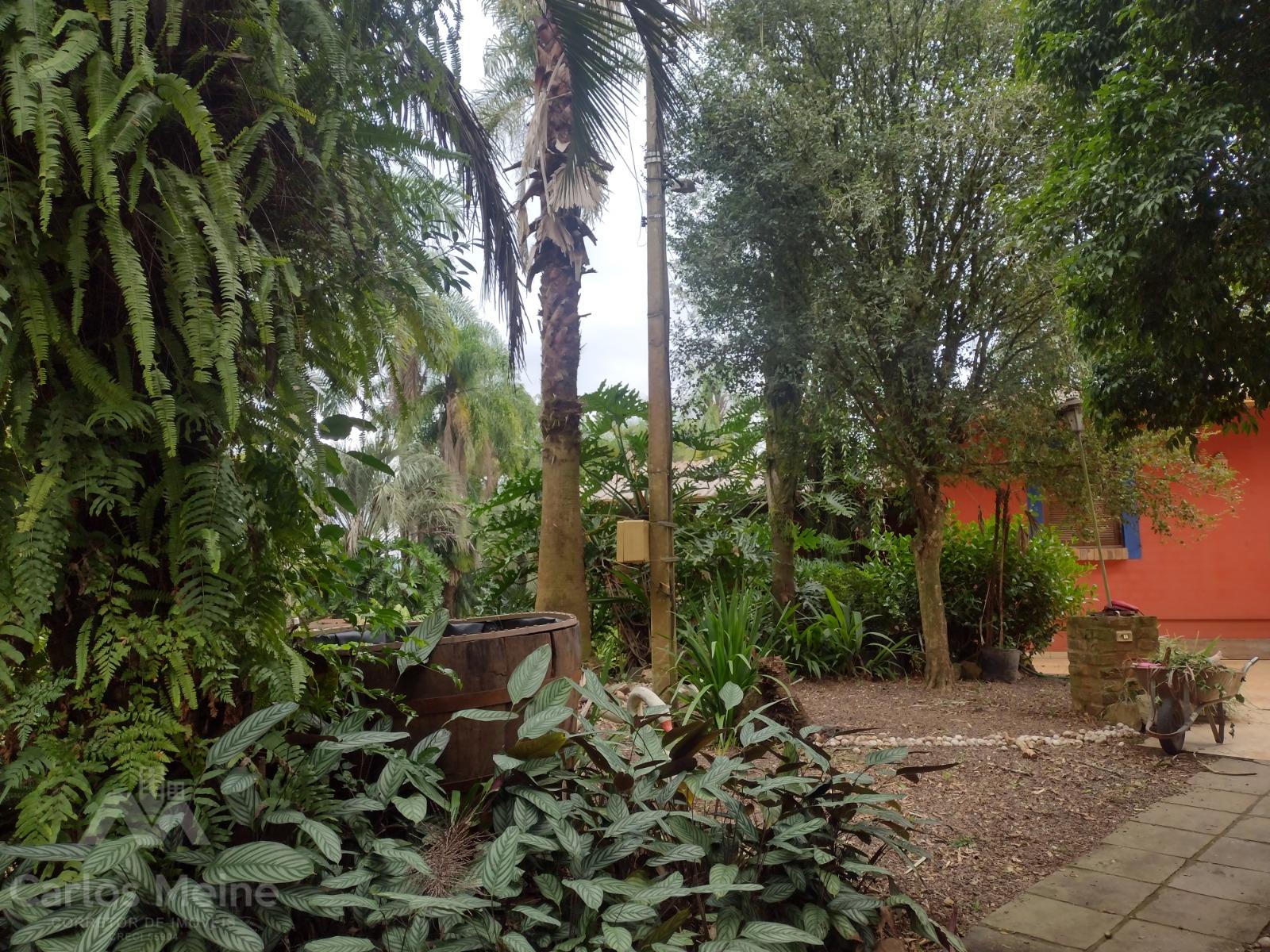 294_4282.jpg