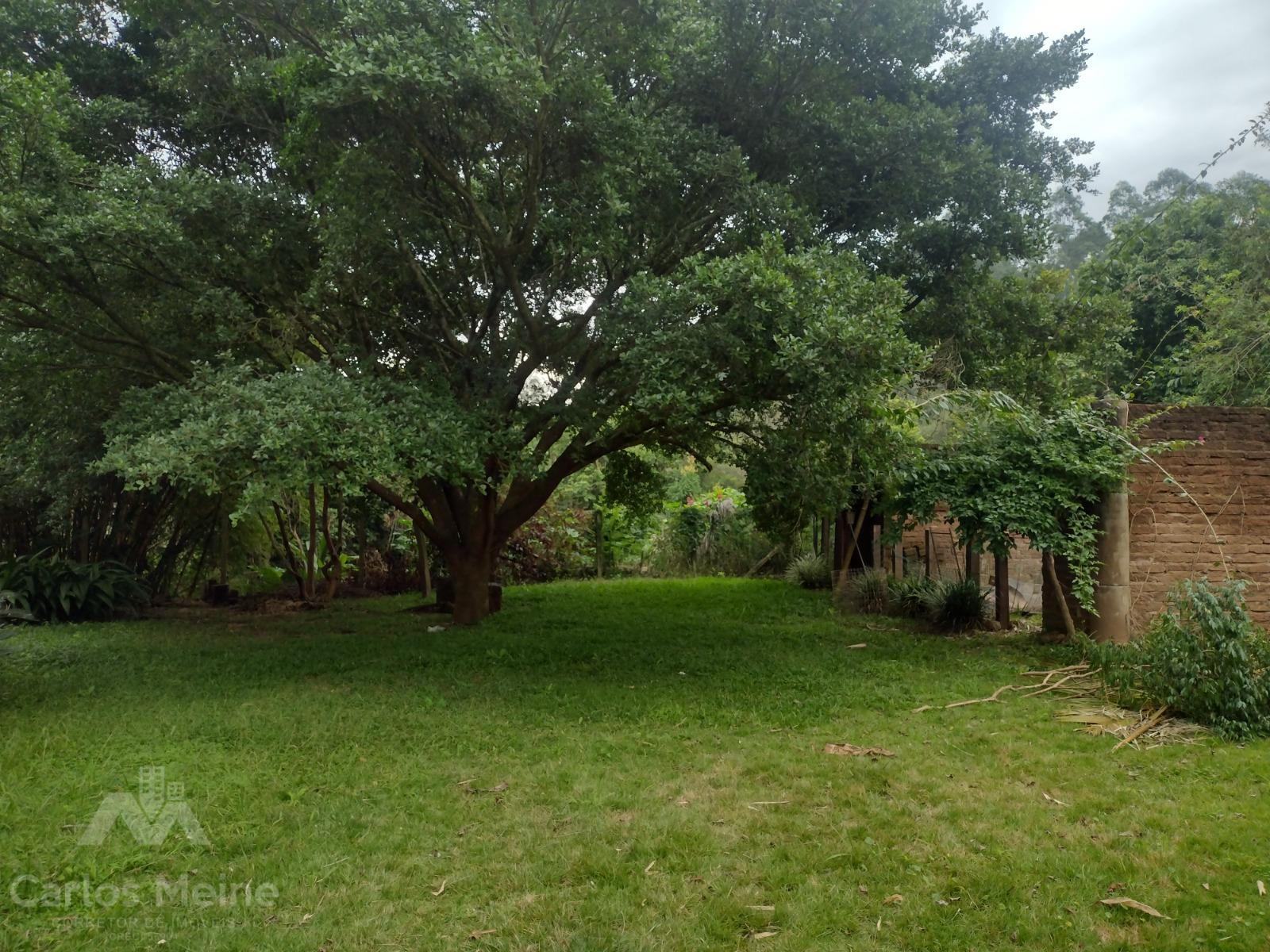 294_4286.jpg