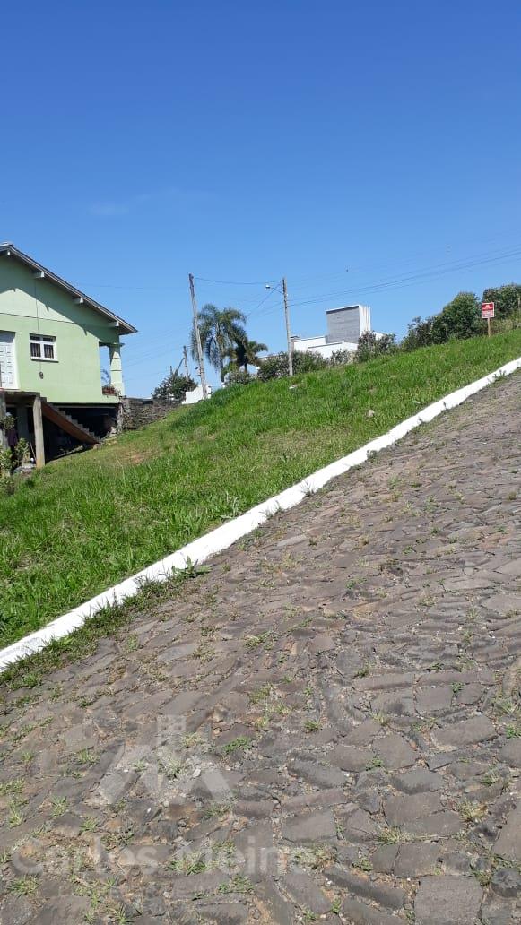 557_3164.jpg