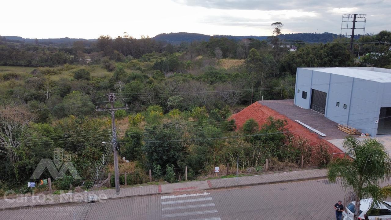 568_3251.jpg