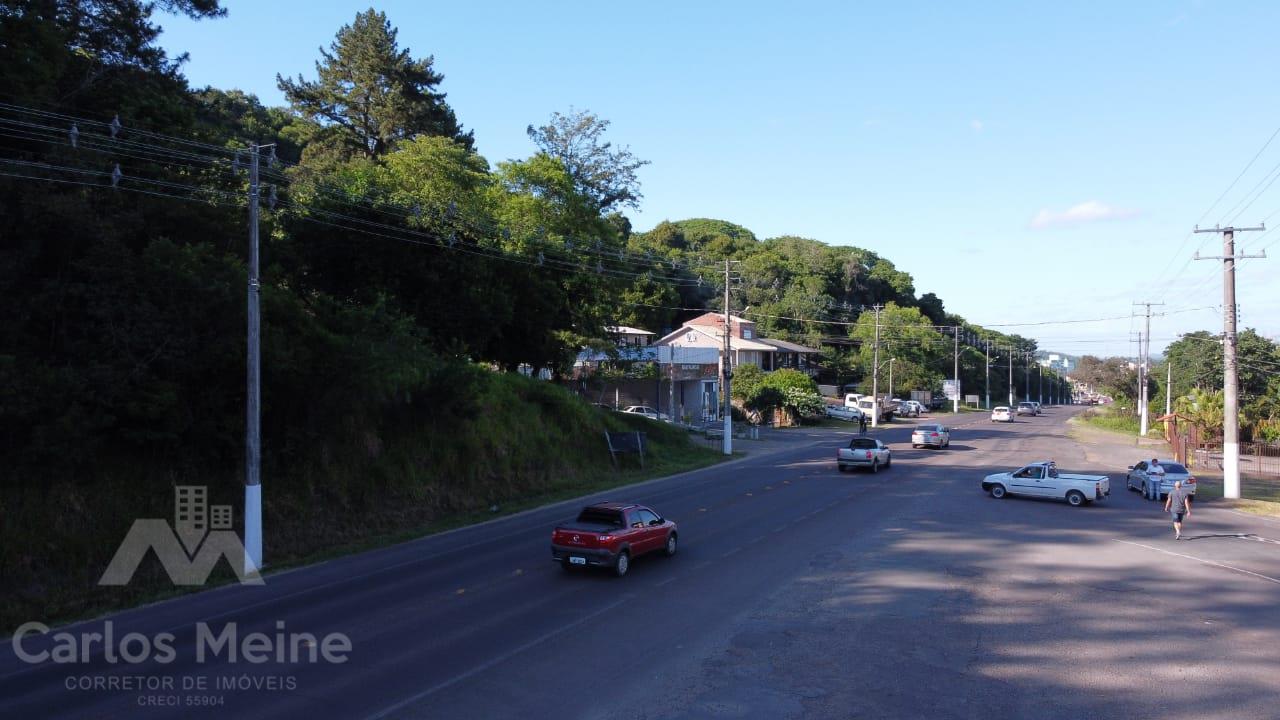 585_3472.jpg