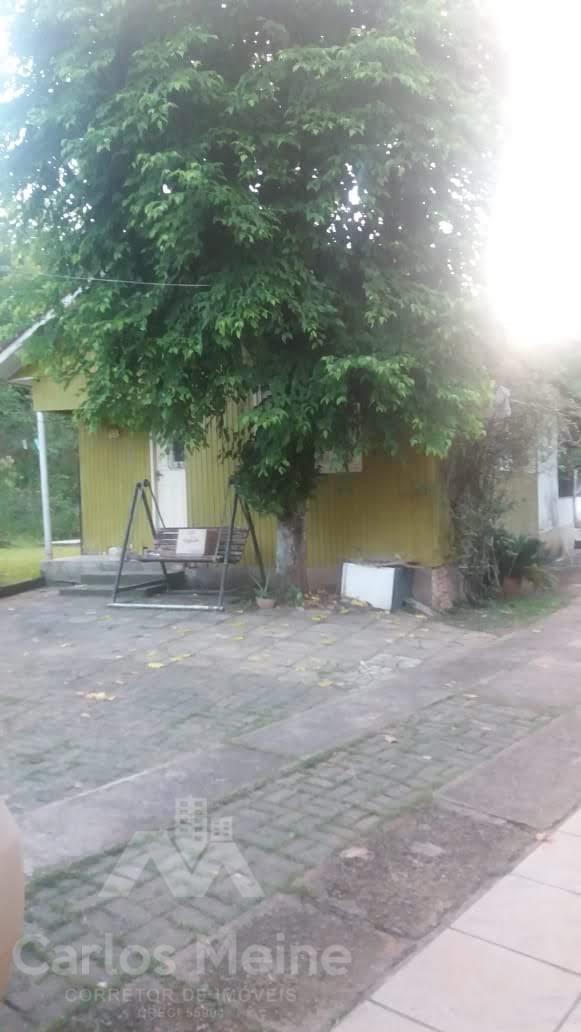 594_3557.jpg