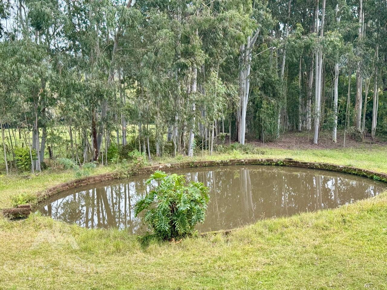 657_4270.jpg