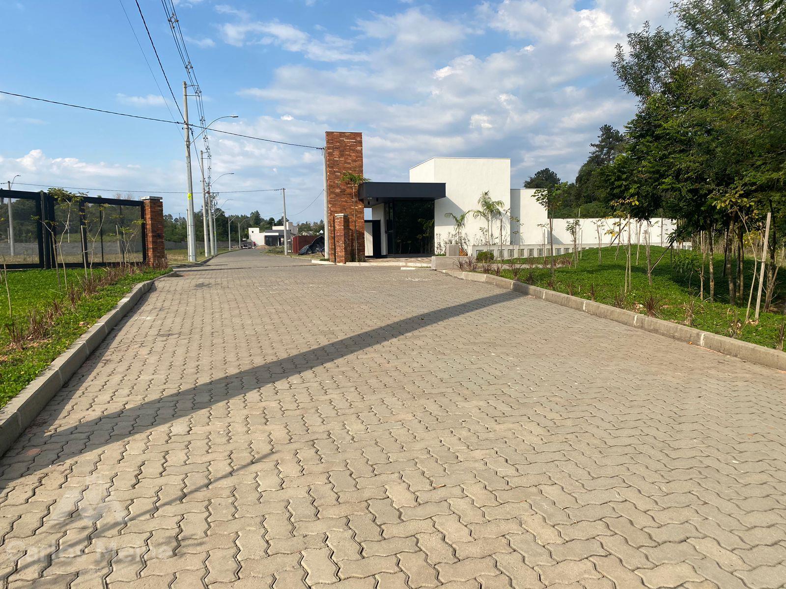 785_5835.jpg