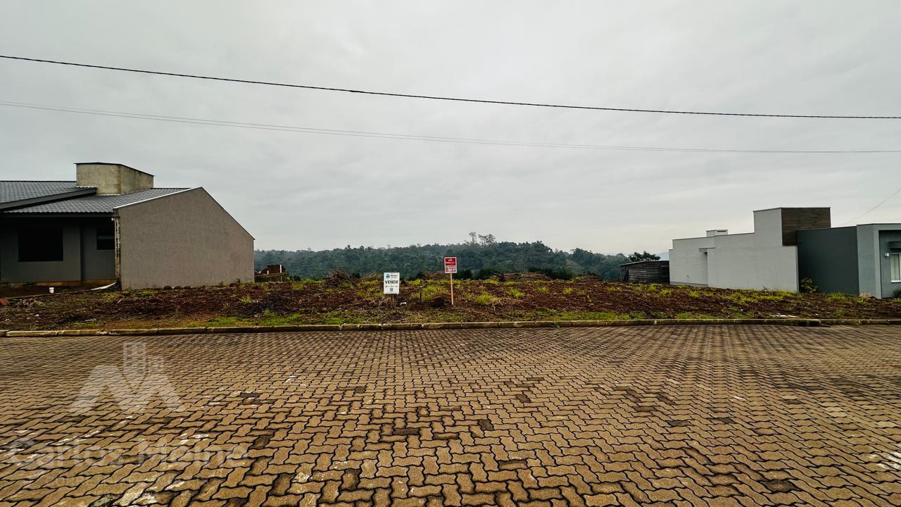 857_7068.jpg