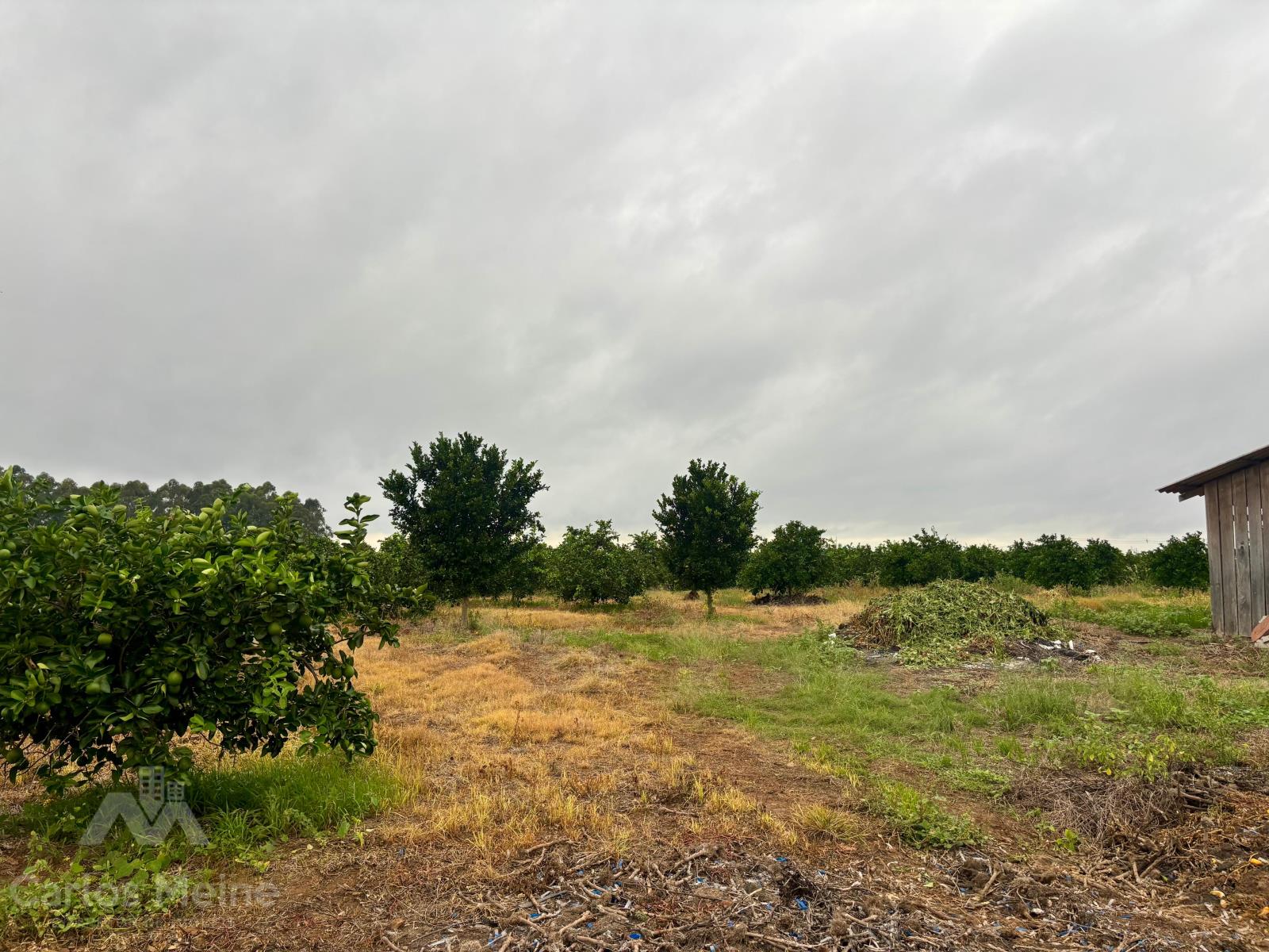 940_8463.jpg