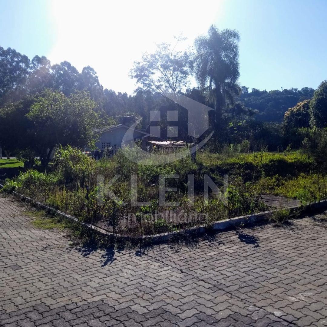 2816_87783.jpg
