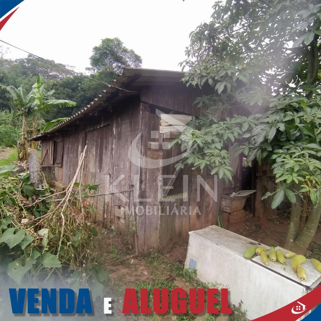 3163_82219.jpg