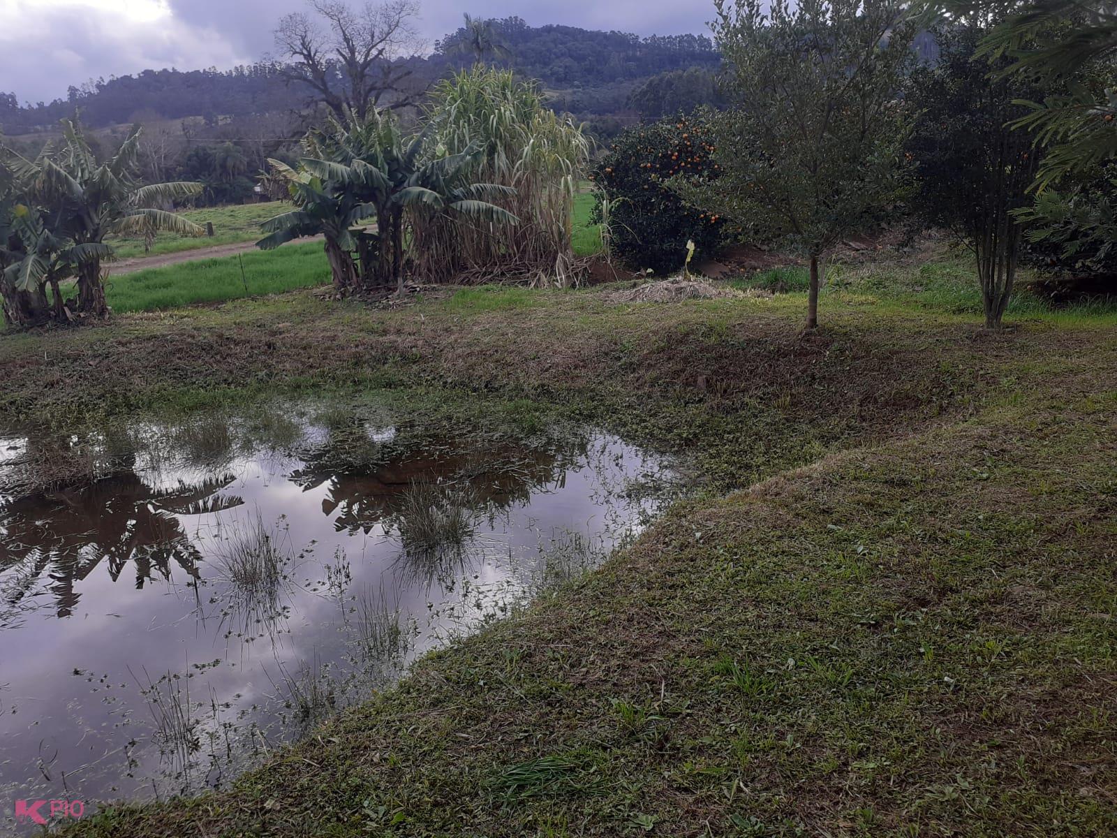 1000_11533.jpg