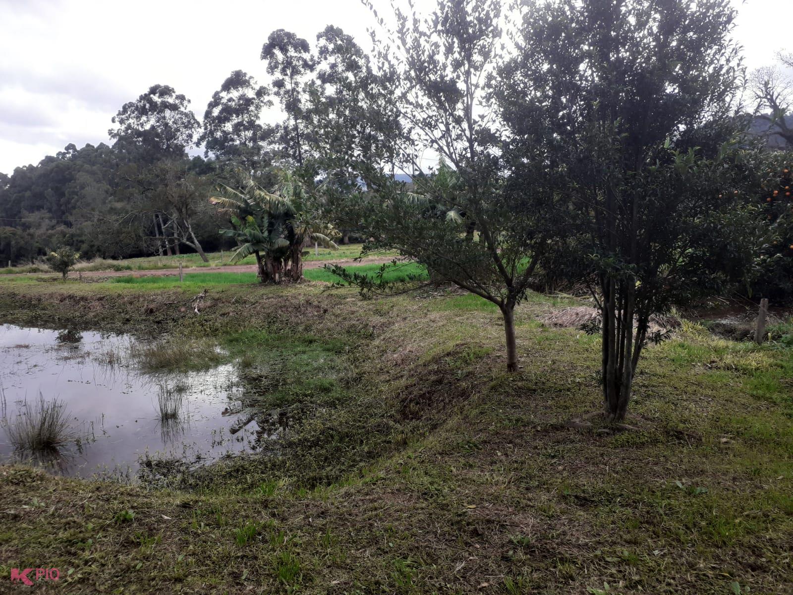 1000_11534.jpg