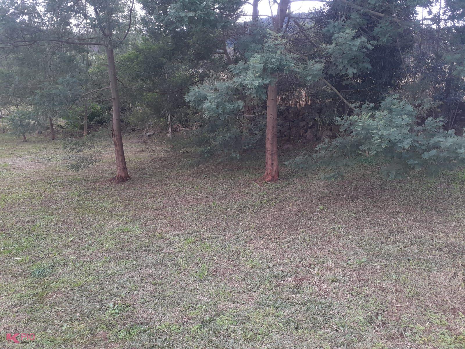 1000_11538.jpg