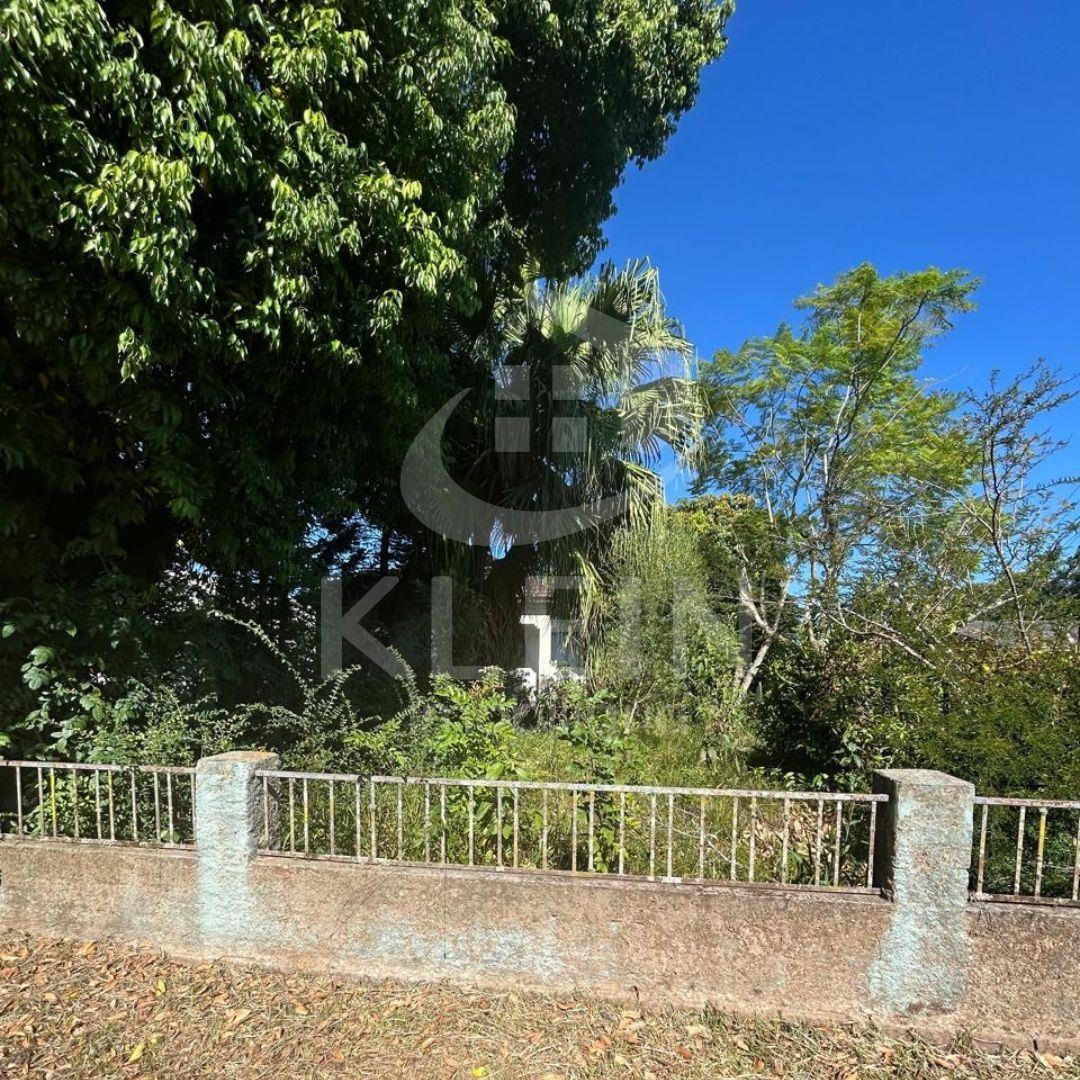 4395_86057.jpg