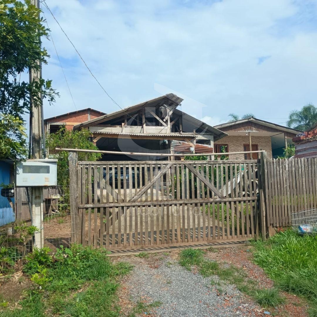 4411_86143.jpg
