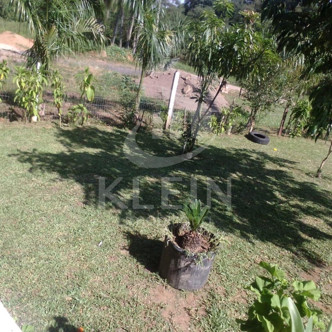 4422_86348.jpg