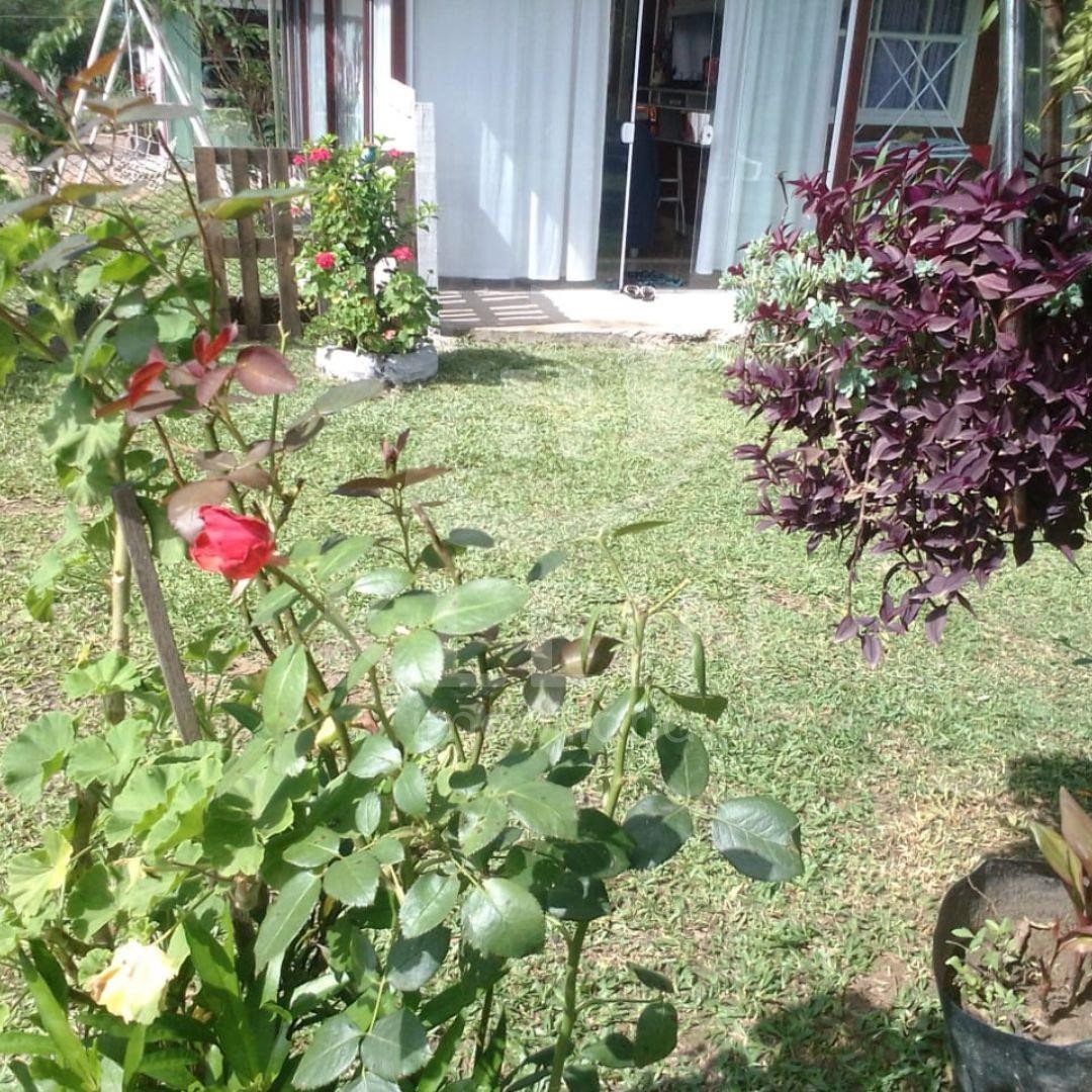 4422_86354.jpg