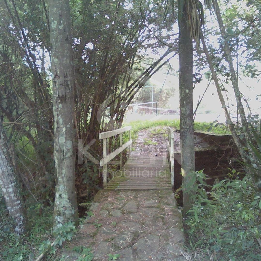 4427_86494.jpg