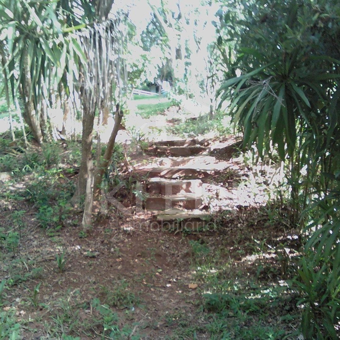 4427_86496.jpg