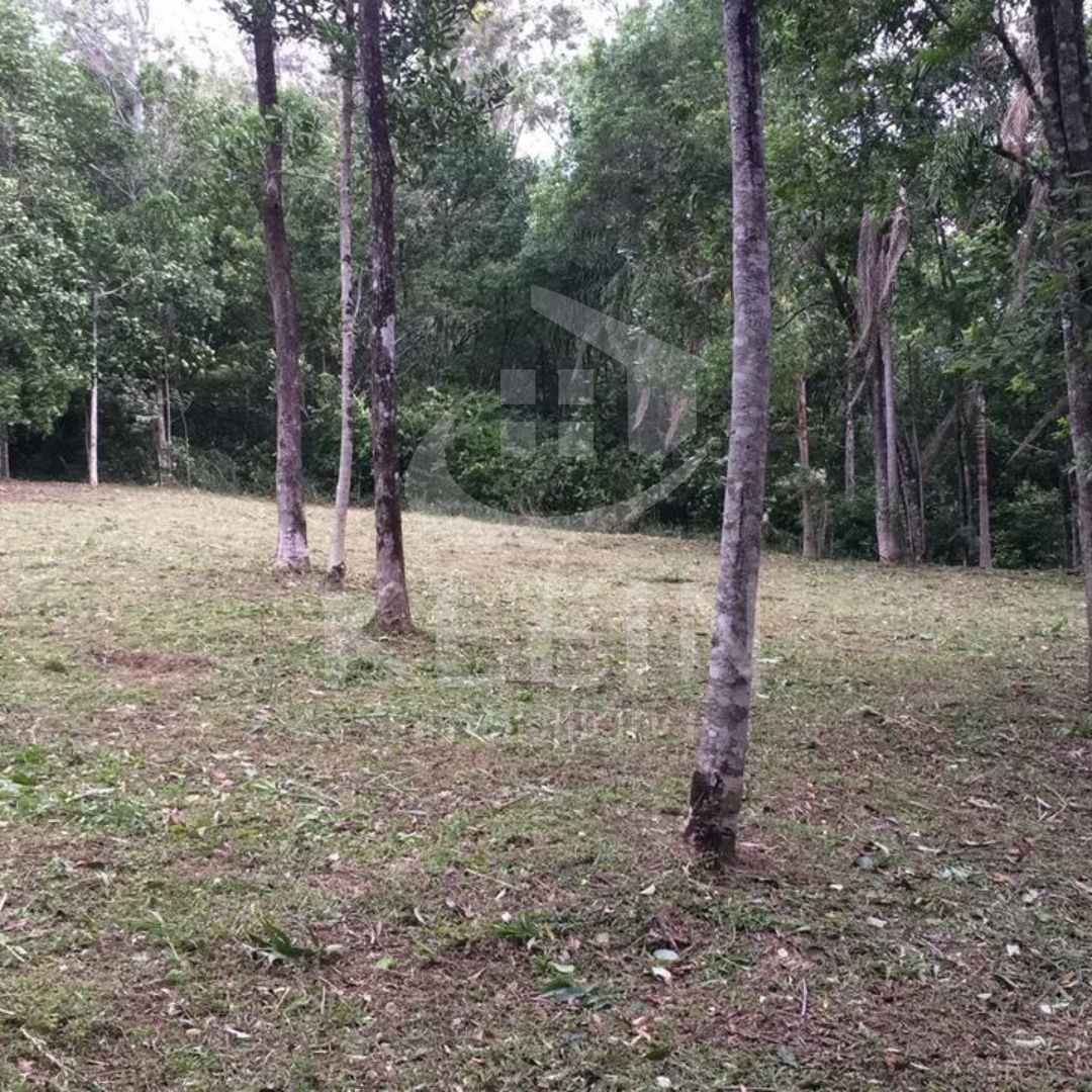 4527_88060.jpg