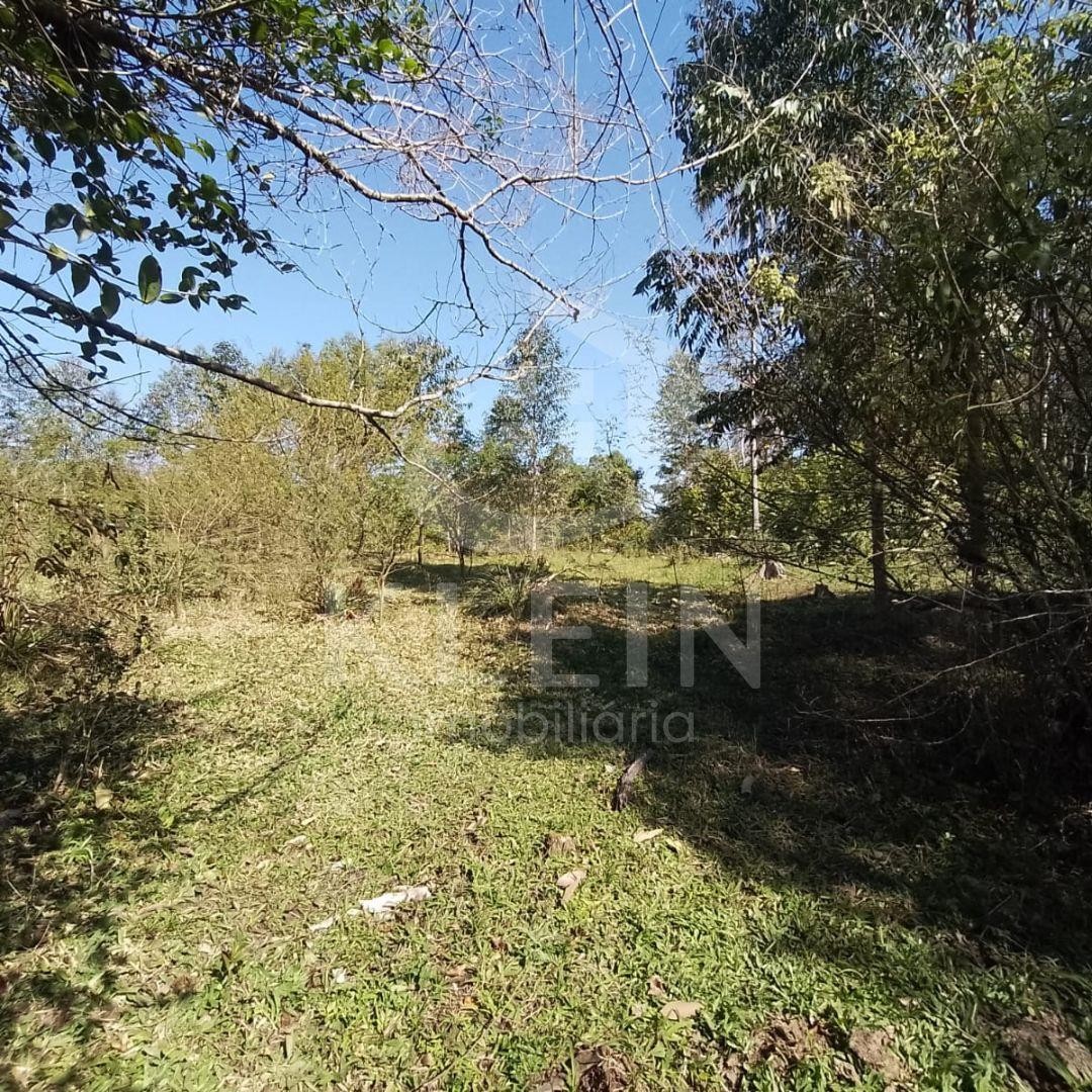 4552_88458.jpg