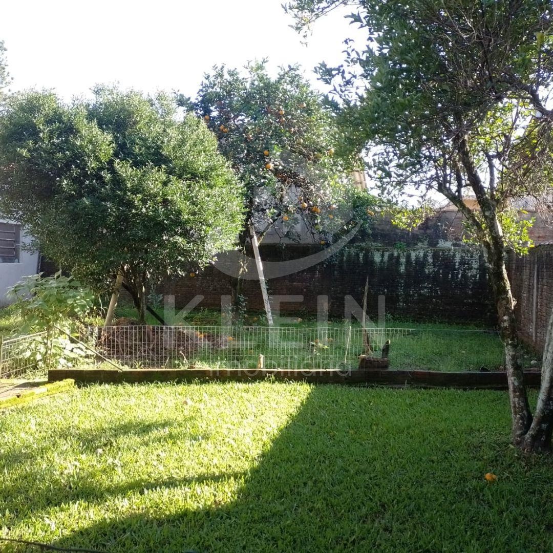 4569_88587.jpg