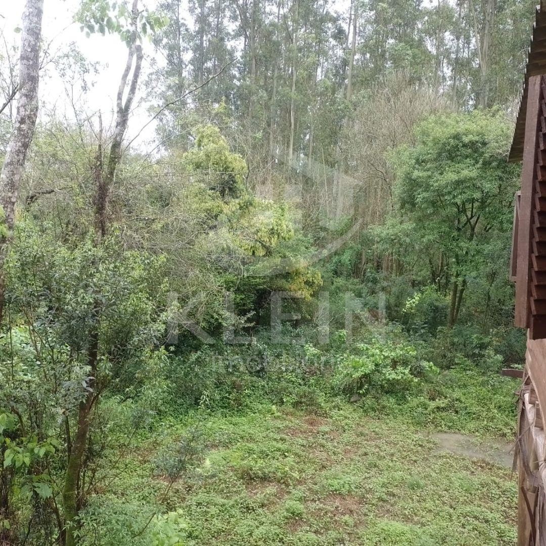 4572_88695.jpg