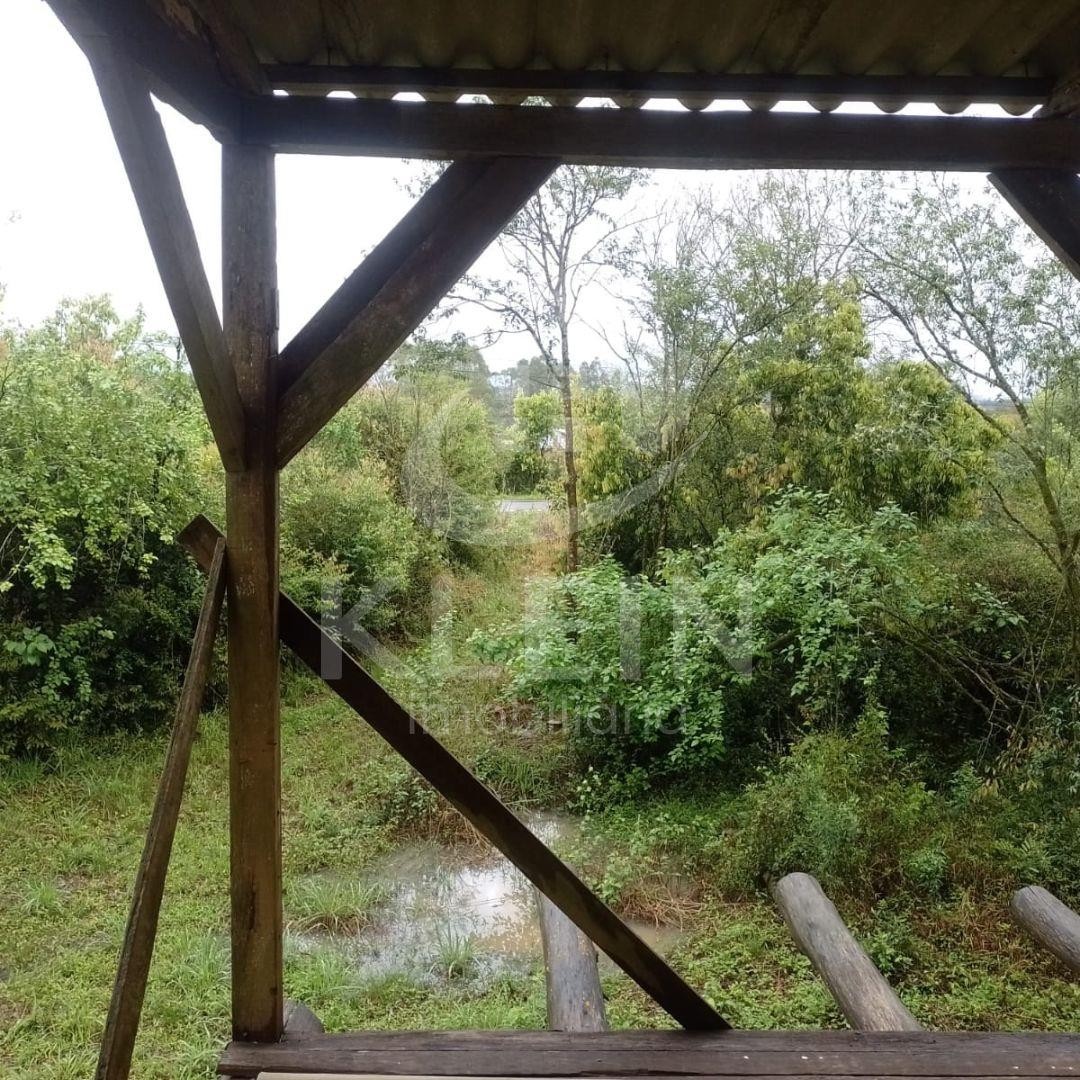4572_88698.jpg