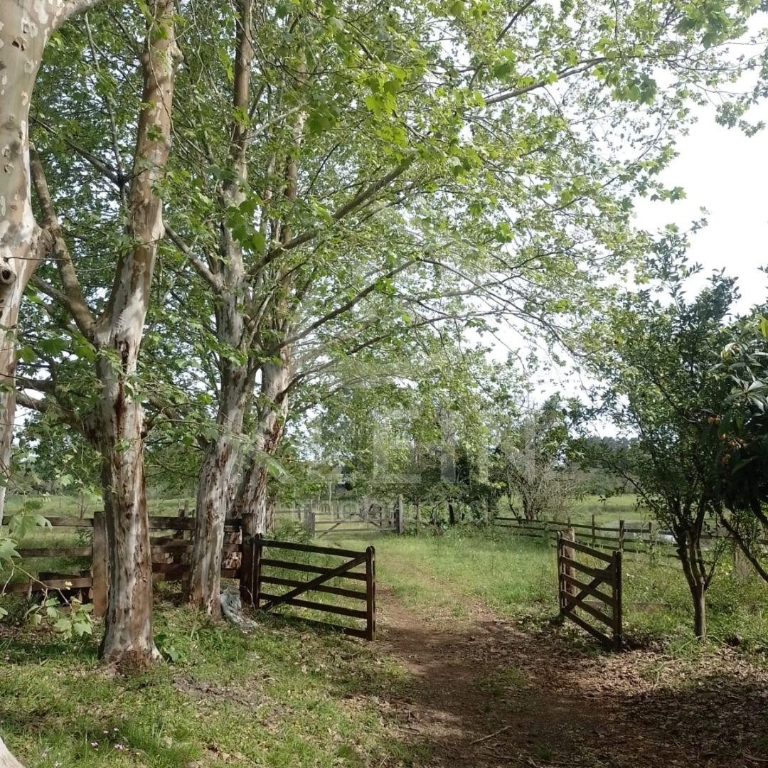 4574_88837.jpg