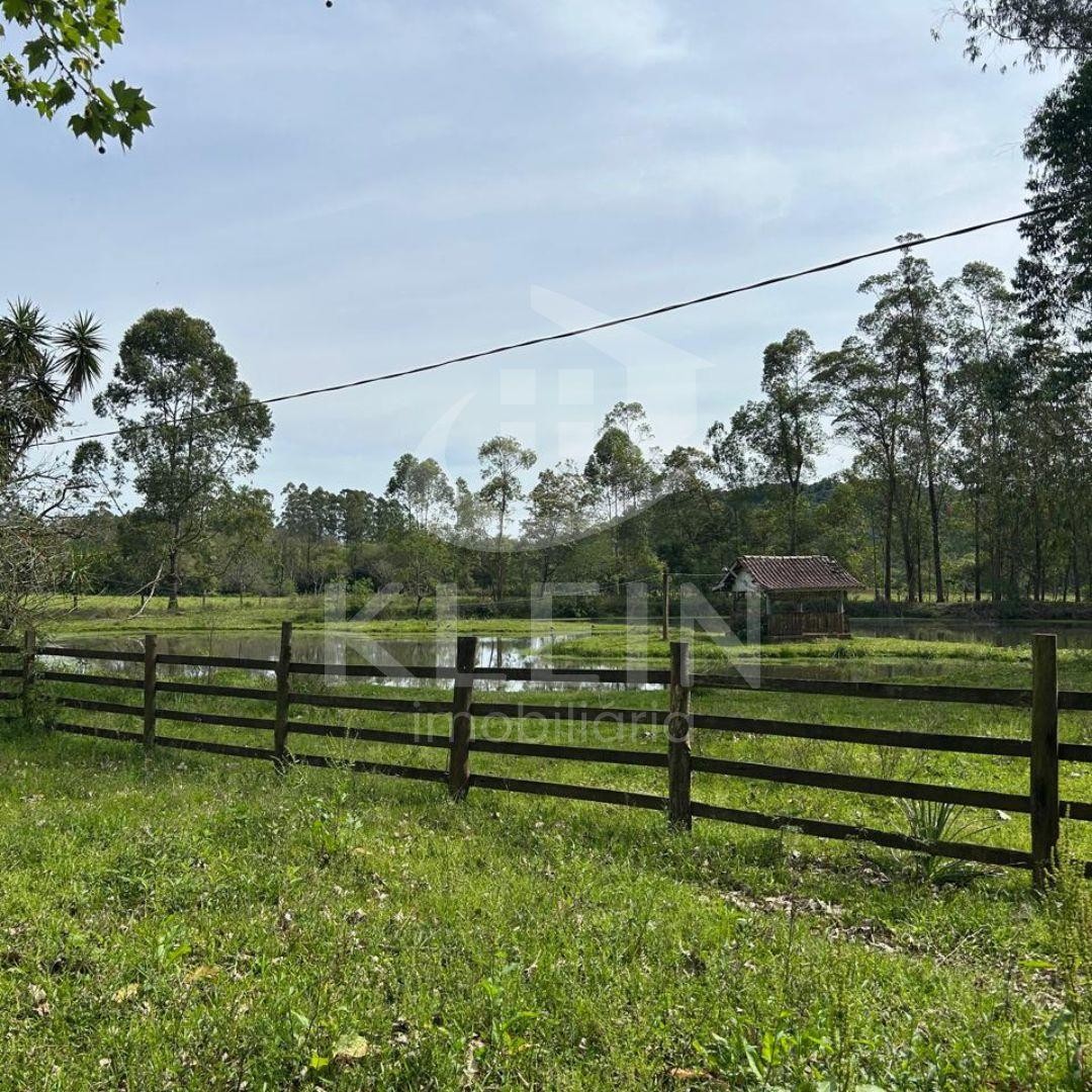 4574_88854.jpg